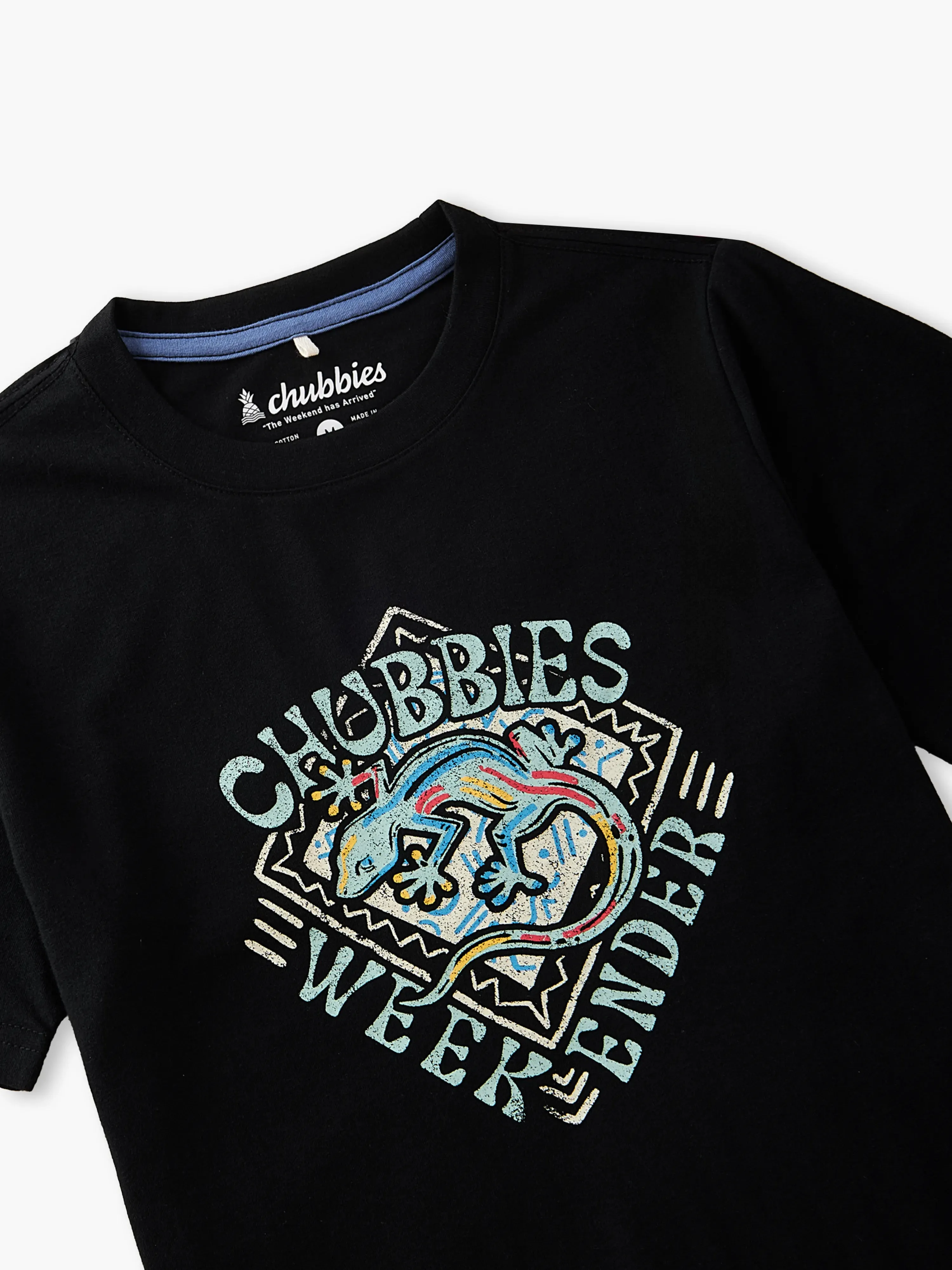 The Gecko Deco (Boys Non Pocket Graphic T-Shirt)
